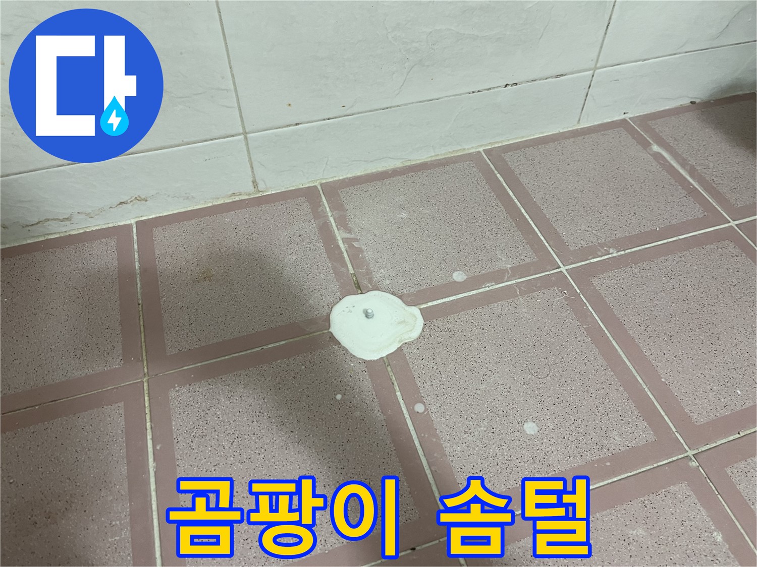 형제맨션빌 누수 - 백색 물질 위에 곰팡이 솜털처럼 자람