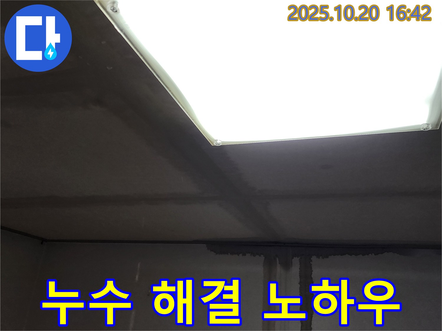 양주시 장흥면 건물 누수 - 천장 배관, 누수 해결 전문가의 특별한 노하우