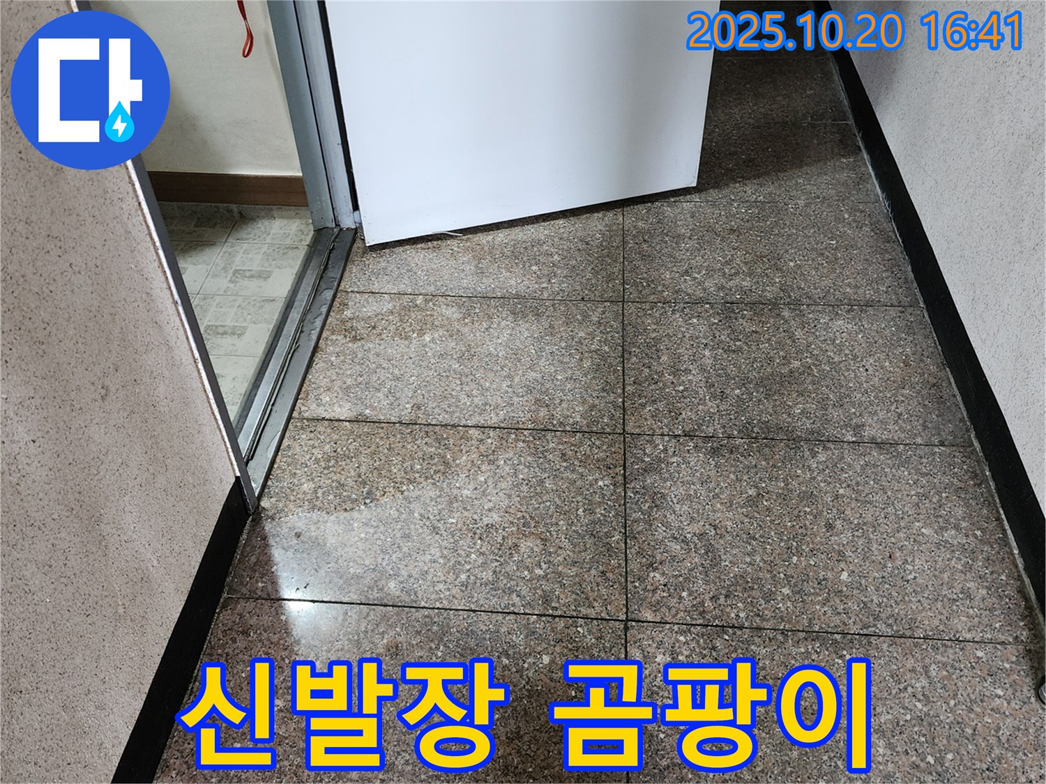 양주시 장흥면 부곡리 누수 현장 - 현관 신발장에 곰팡이가 피어 있습니다 - 건강을 위협할 수 있습니다.