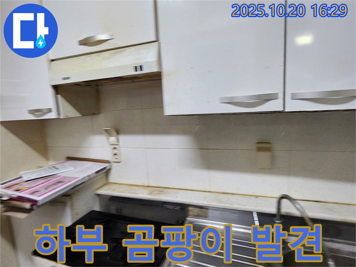 양주시 장흥면 부곡리 주방 누수 - 찌든 때와 함께 싱크대 하부 곰팡이 발견!