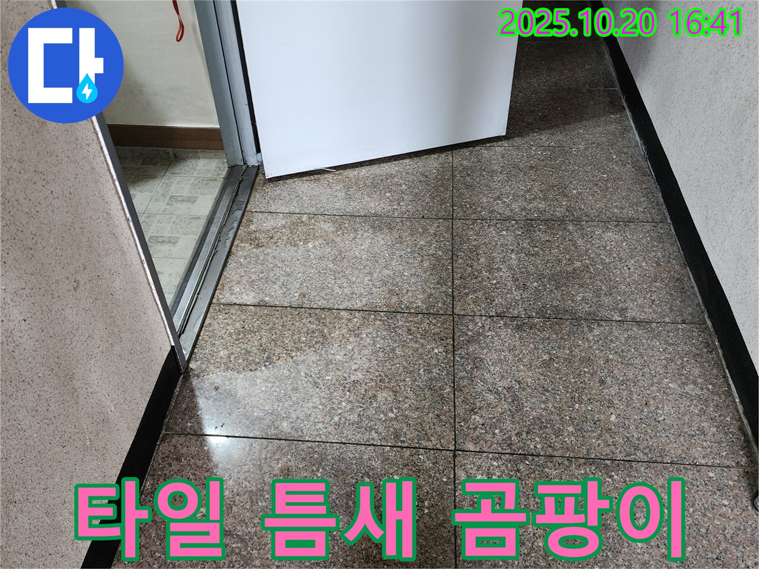 타일 틈새에 곰팡이가 핀 사진 - 양주시 장흥면 부곡리 누수 현장입니다.