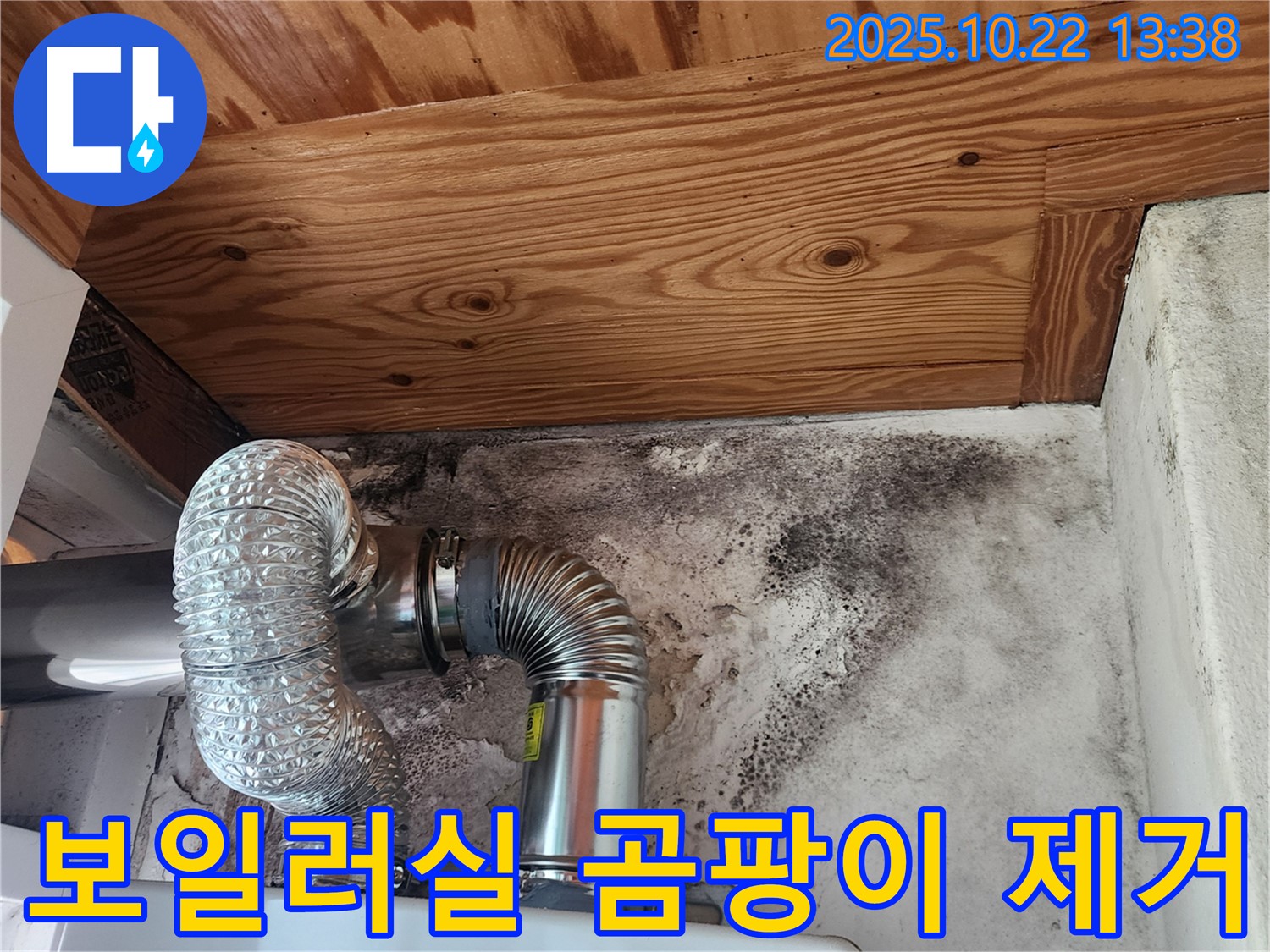 보일러실 벽면의 검은 곰팡이 - 누수로 인해 발생한 곰팡이 문제를 보여줍니다 - 곰팡이 제거와 누수 해결이 시급합니다.