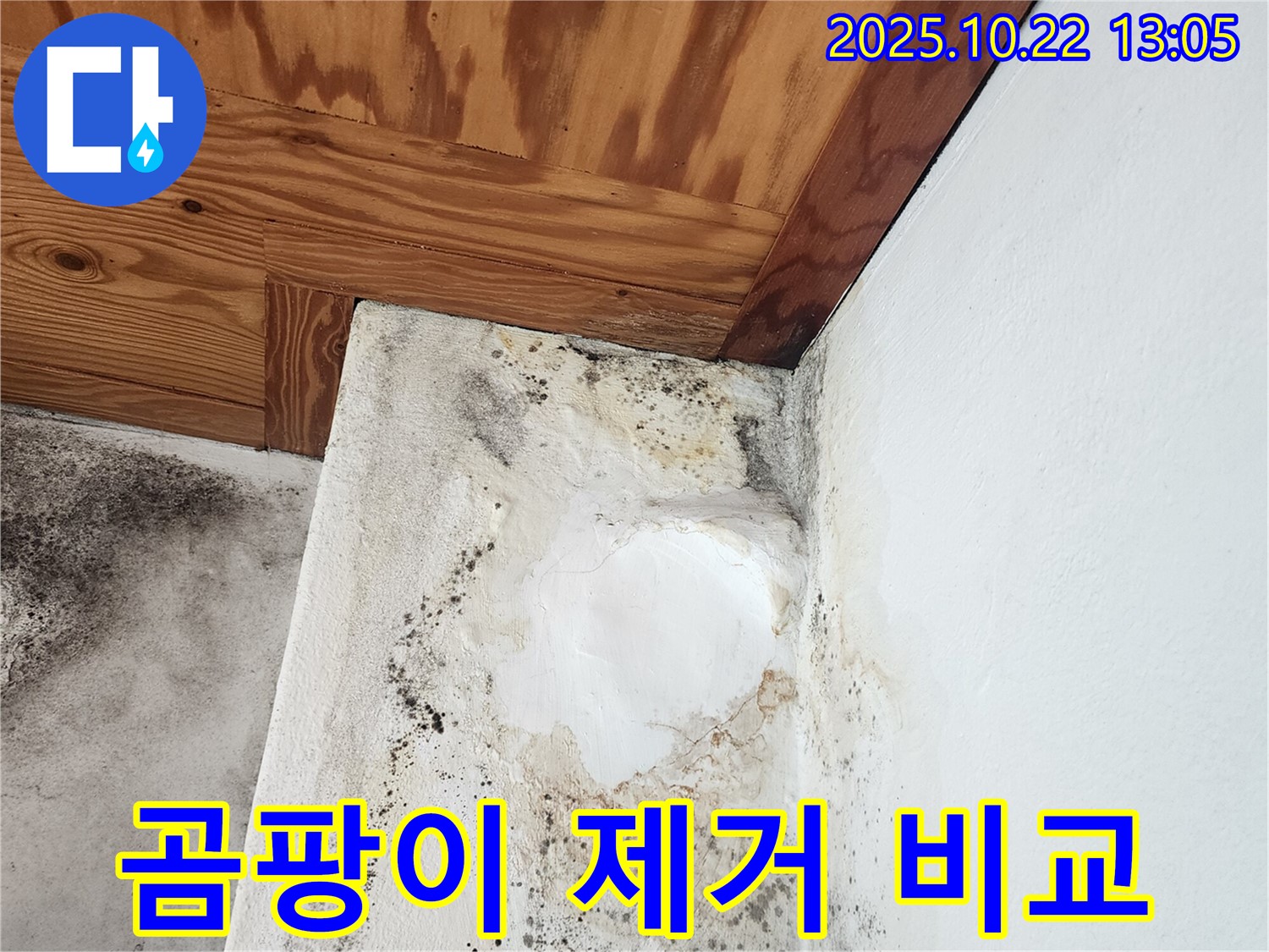 양주 누수 문제 해결 - 곰팡이 DIY 제거 vs 전문가 시공 비교 분석