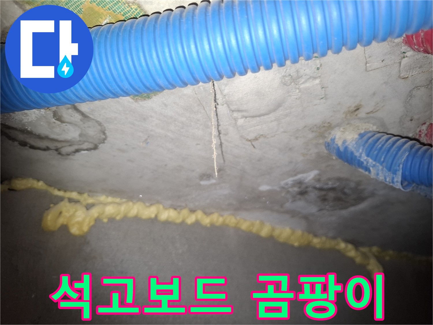 석고보드 곰팡이 - 건강에 악영향 우려 - 신풍동 누수
