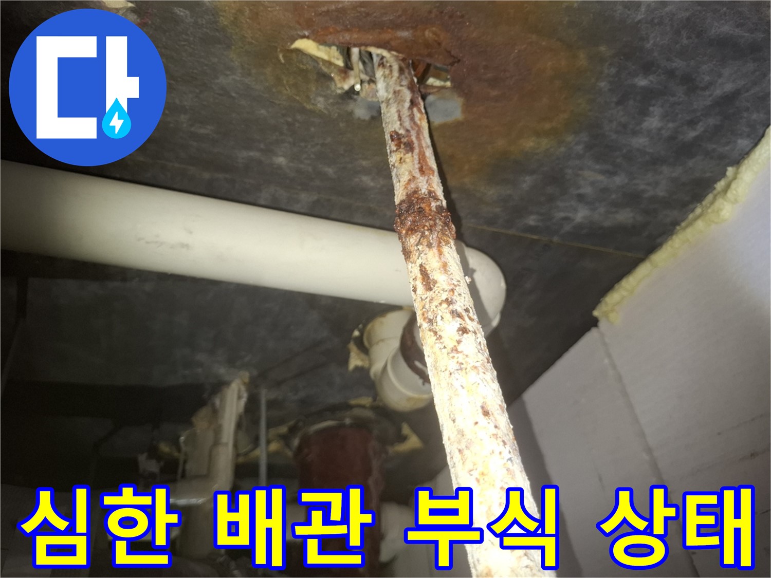 수원 신풍동 누수 현장에서 심하게 부식된 배관 상태를 보여줍니다 - 즉시 교체가 필요한 위험한 상태입니다.