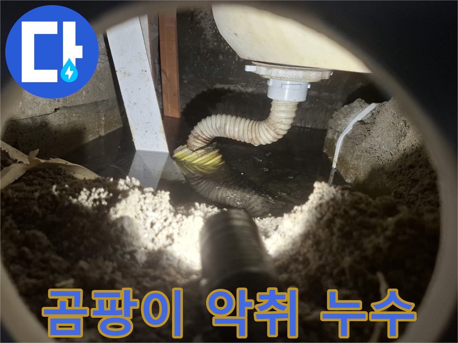수원 팔달구 신풍동 누수 - 누수 부위에 곰팡이 발생 및 악취 동반 - 문제 심각