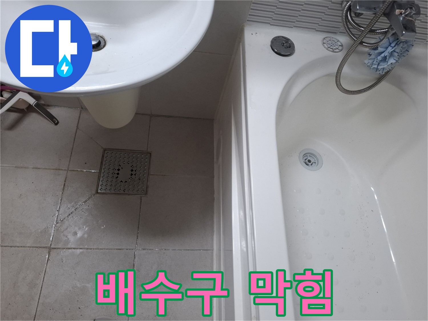 욕실 배수구가 막혀 악취와 벌레 유입 - 문제 해결 시급