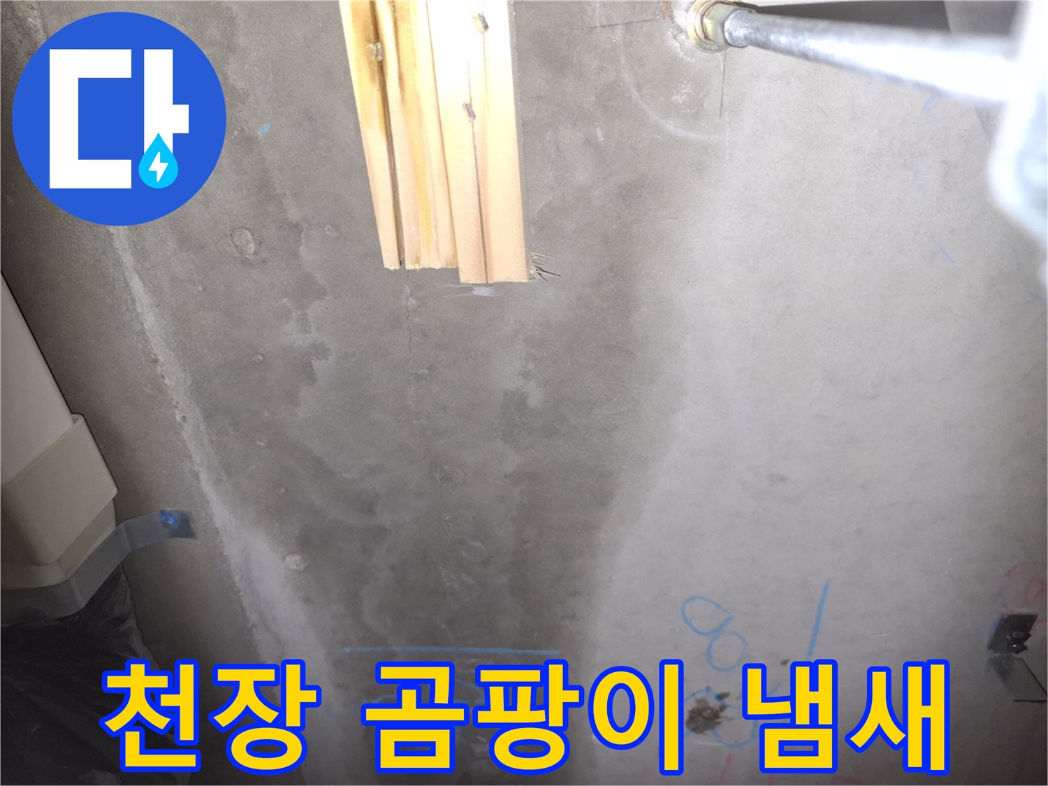 콘크리트 천장 누수 - 곰팡이 냄새