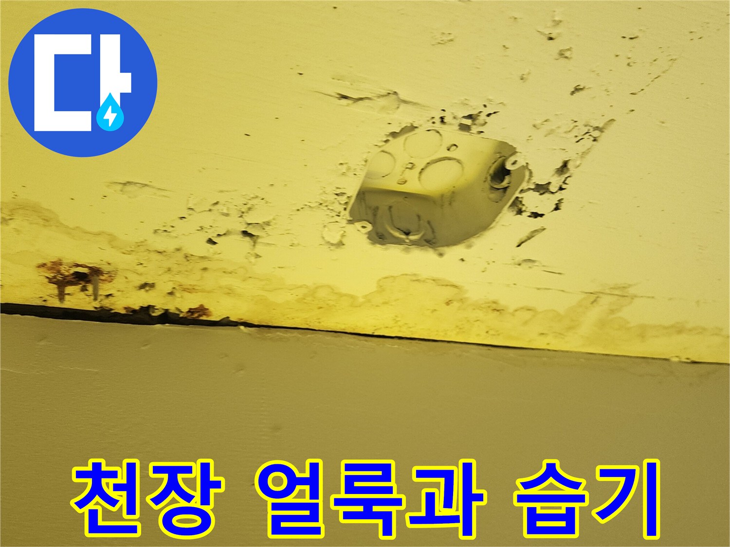 양주 은현면-습기로 젖어 변색된 상가 천장 마감재 부위