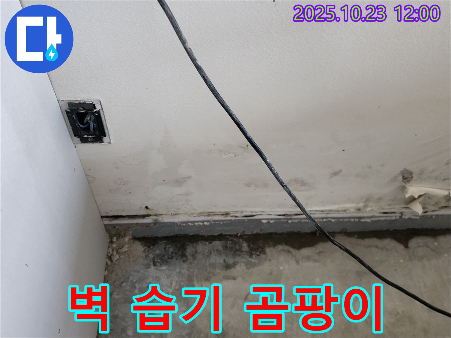 양주시 하패리 - 벽 하단 습기, 곰팡이, 누수 문제 해결, 쾌적한 집