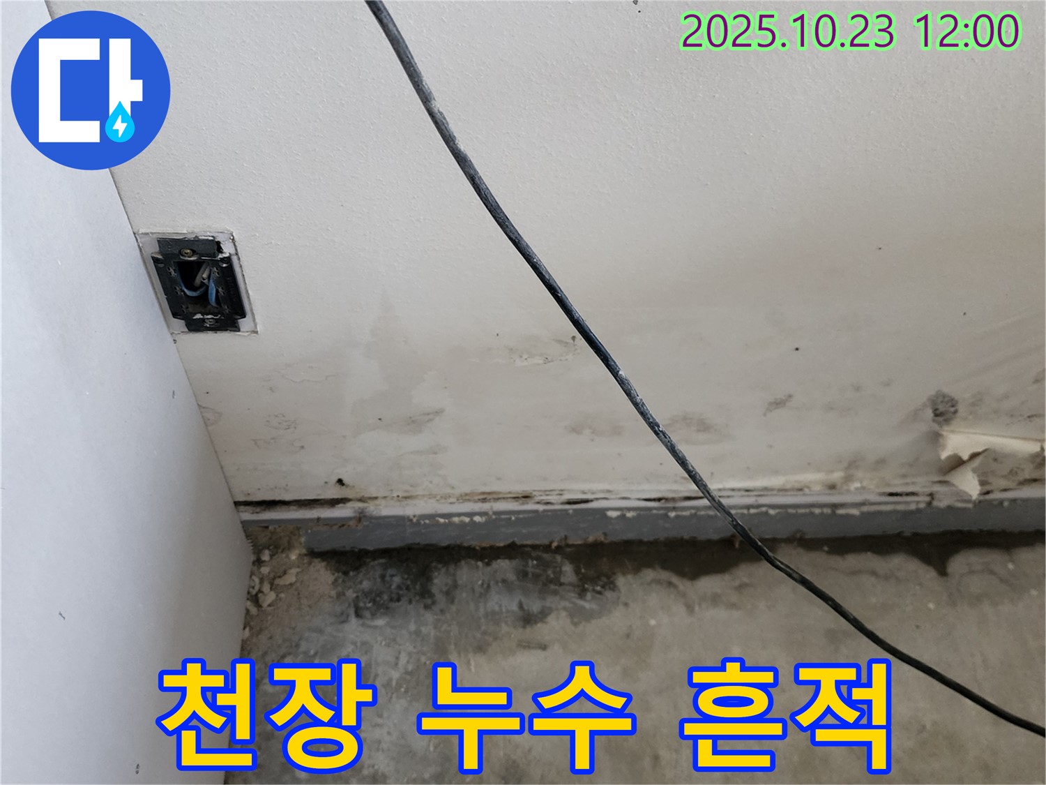양주시 하패리 천장 누수 흔적 발견 - 누수탐지 전문 업체의 긴급 점검
