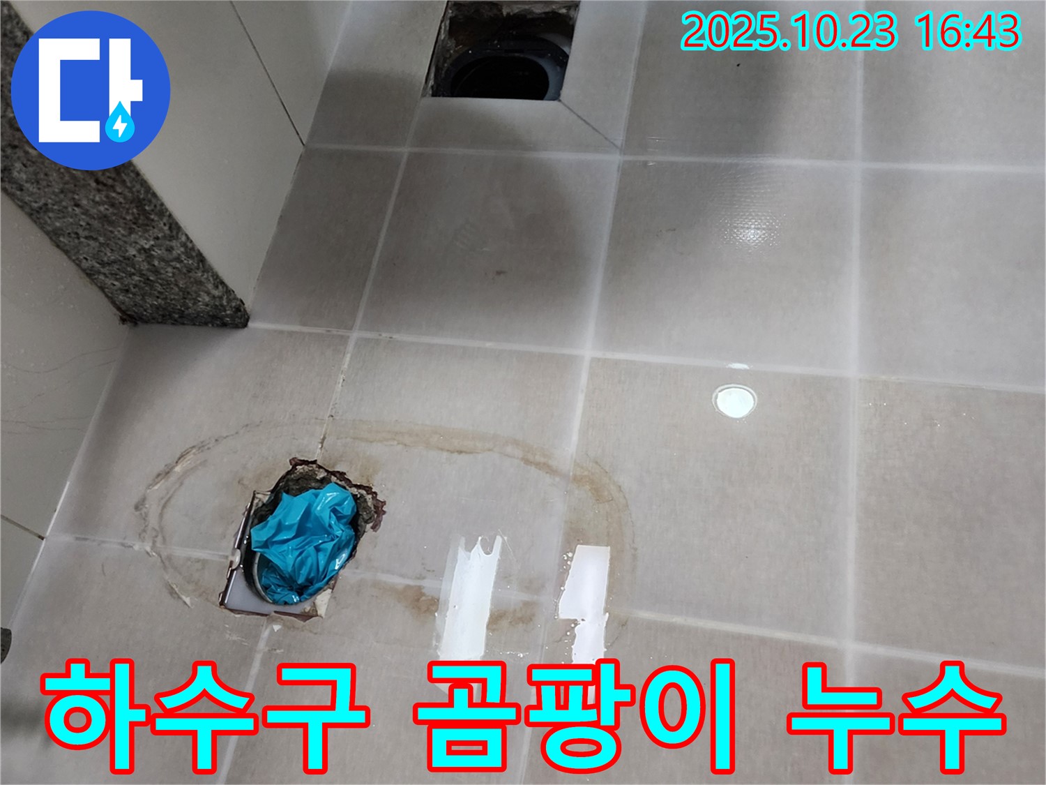 양주 욕실 하수구 주변 곰팡이 누수 - 곰팡이 제거와 누수 방지를 한 번에!