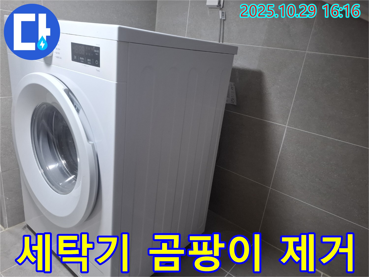 고양시 덕양구 지축동 세탁기 - 곰팡이 제거로 깨끗하게 관리하세요.