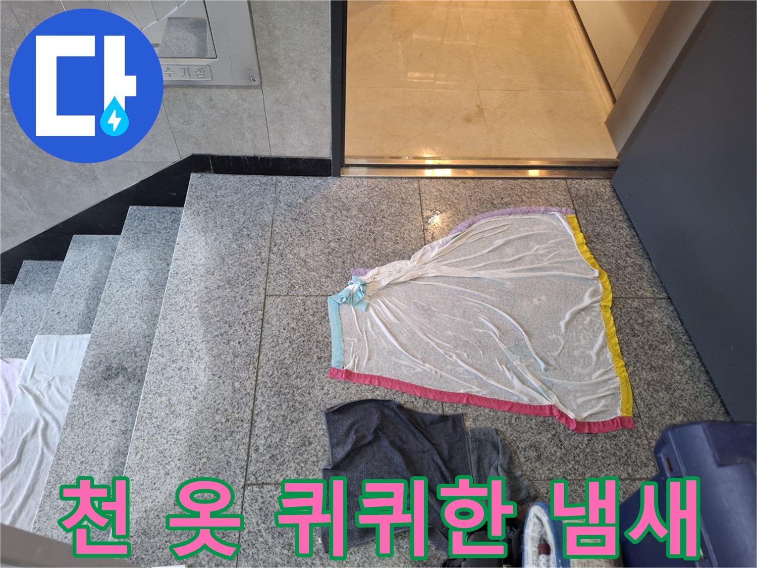 레이스 천과 검은 옷, 퀴퀴한 냄새 진원지 - 고양시