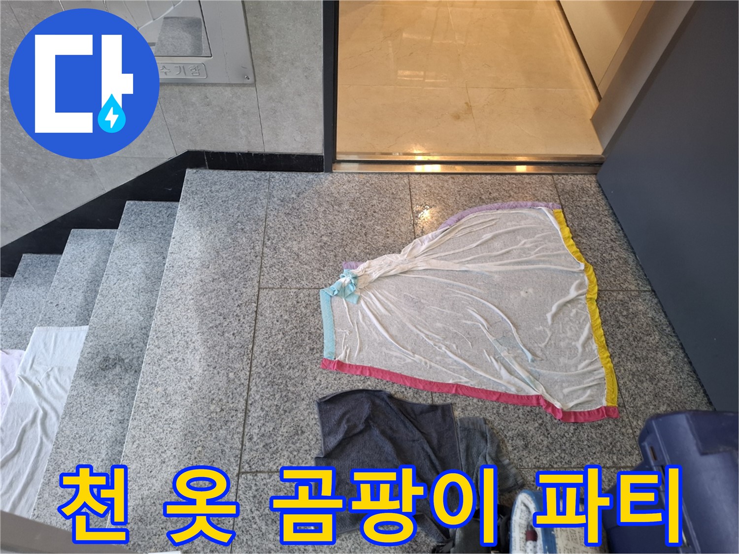 화려한 레이스 천과 어두운 옷 - 곰팡이 파티?