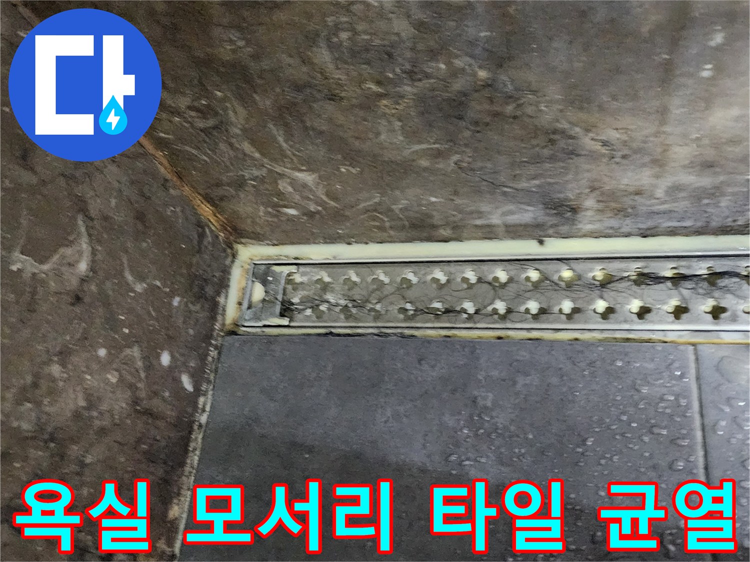 양주시 옥정동-타일 사이의 벌어진 틈과 배관 부위 점검