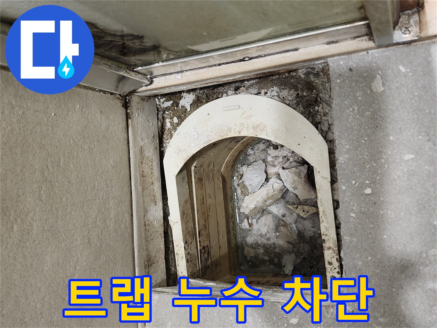 금호동 아파트 샤워실 누수 - 트랩 주변 누수 완벽 차단 작업 준비