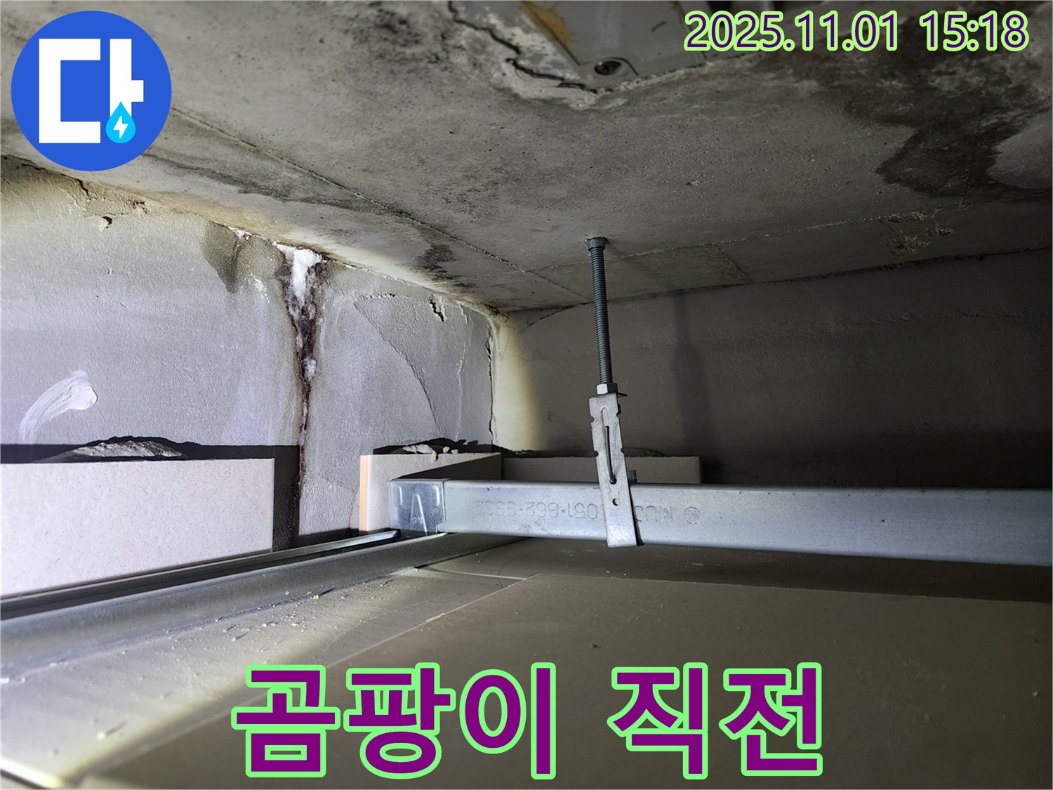 성동구 신금호파크자이 아파트 - 천장 누수, 곰팡이 발생 직전의 위기 상황