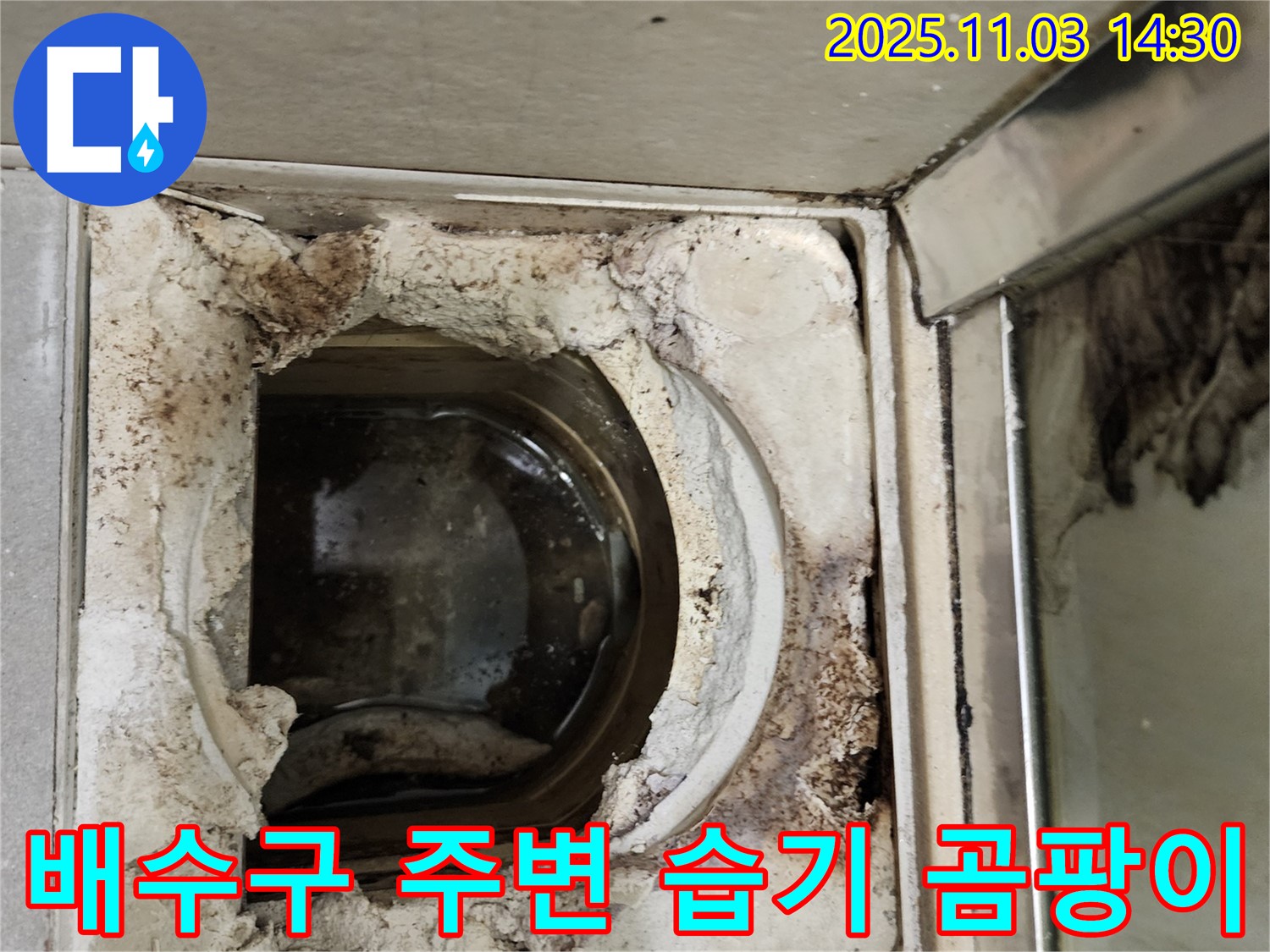 욕실 배수구 주변 습기 및 곰팡이 - 누수가 지속적으로 발생하고 있음을 나타내는 증거입니다.