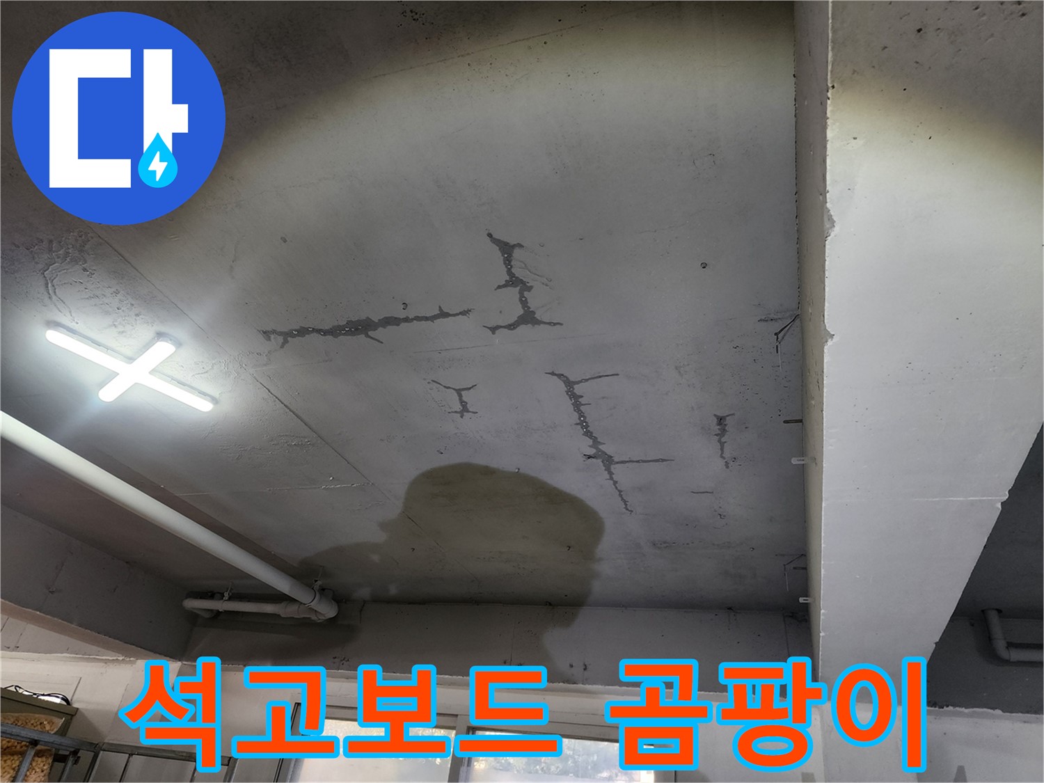 천장 석고보드 젖음 - 곰팡이 발생 - 건강 위협