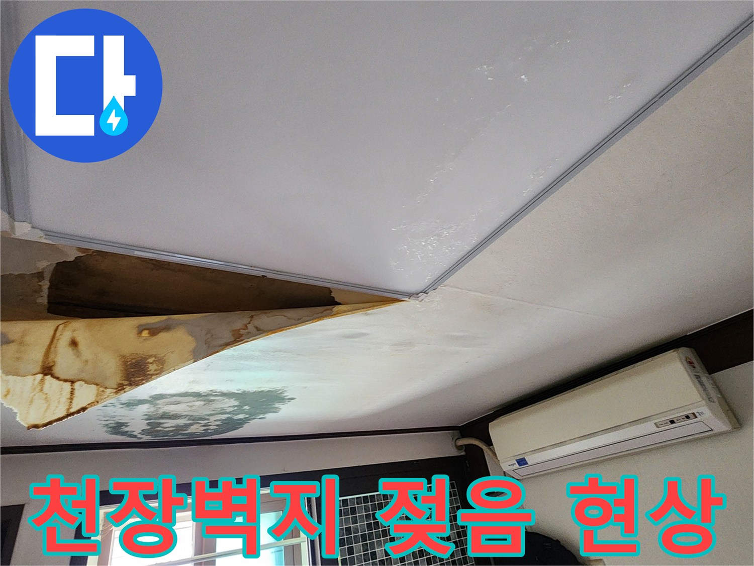 양주시 회천동-천장 벽지가 물에 젖어 얼룩지고 곰팡이가 피어있는 모습