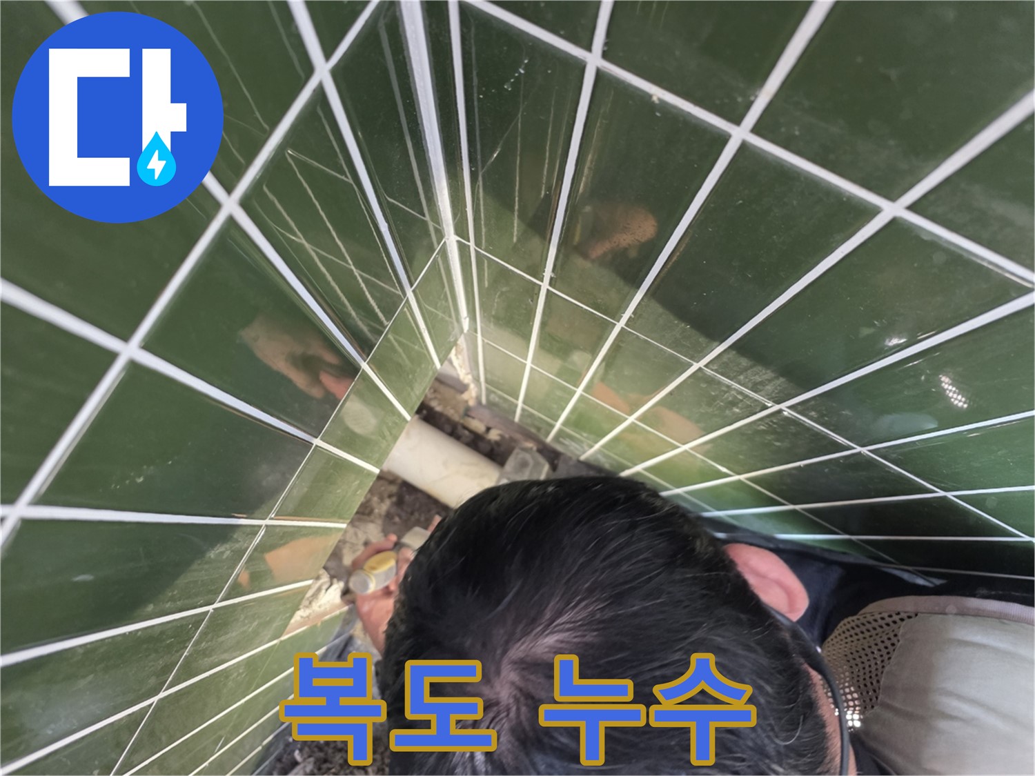 광진구 자양4동 - 아파트 복도 누수, 공동 배관 문제일 가능성은?