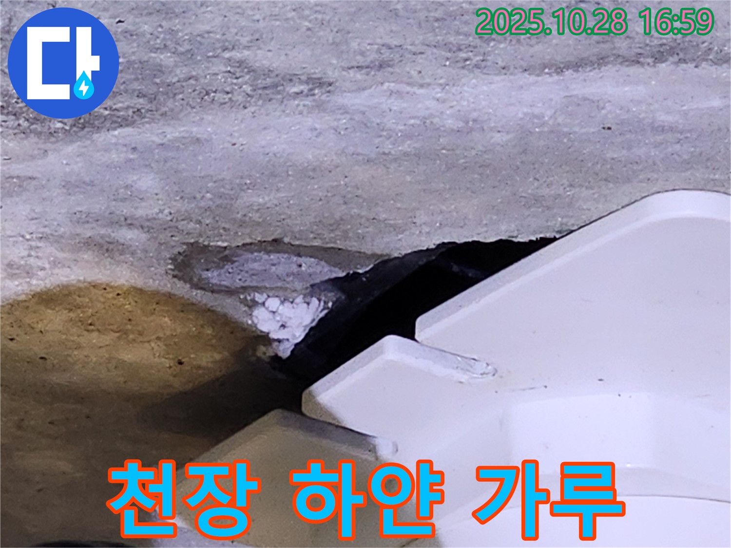 양주 유양동 천장 누수 - 천장에서 하얀 가루와 함께 물이 떨어지는 누수 현장입니다.