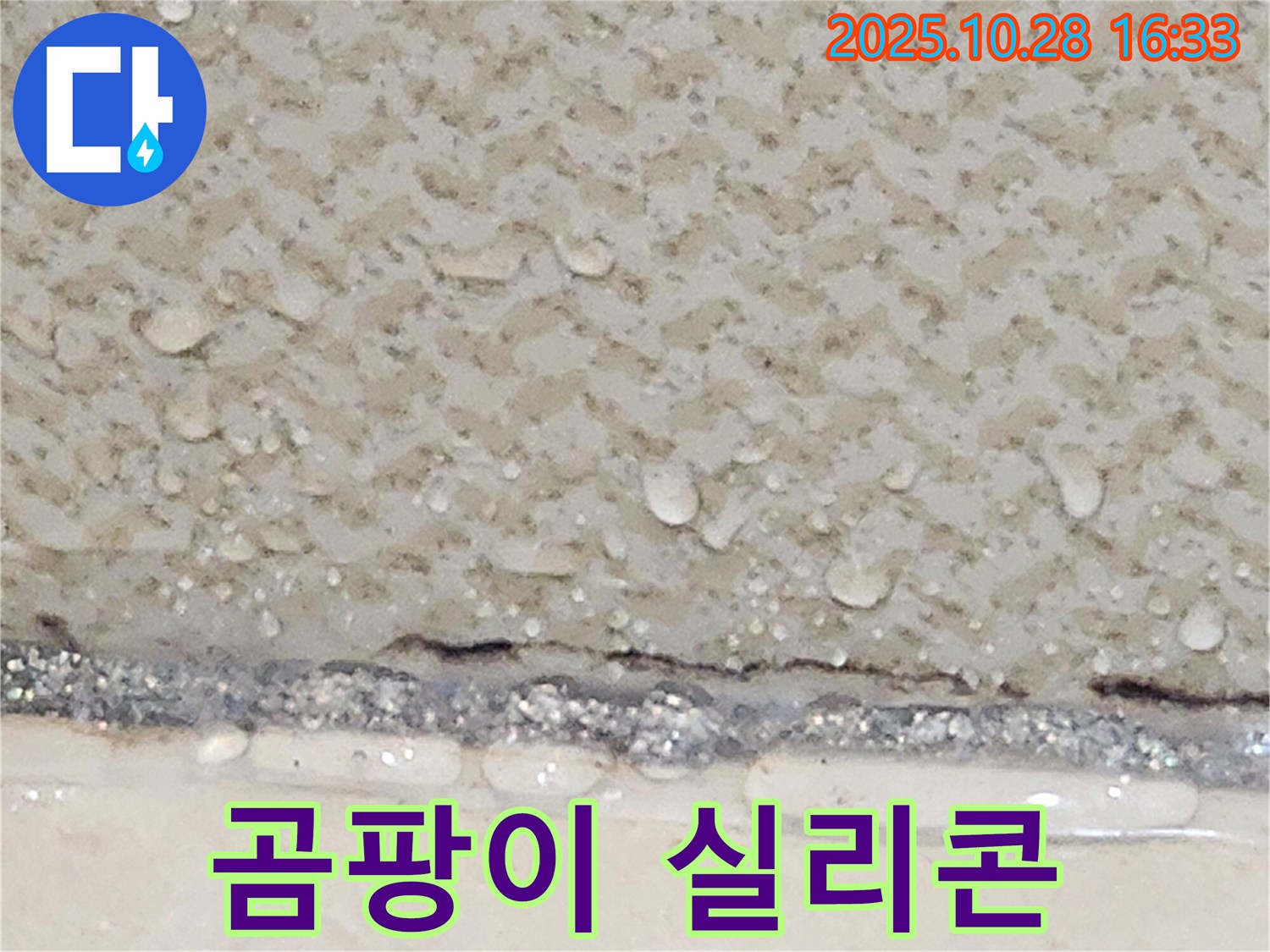 양주시 유양동 벽 틈새 곰팡이 - 제거 후 재시공