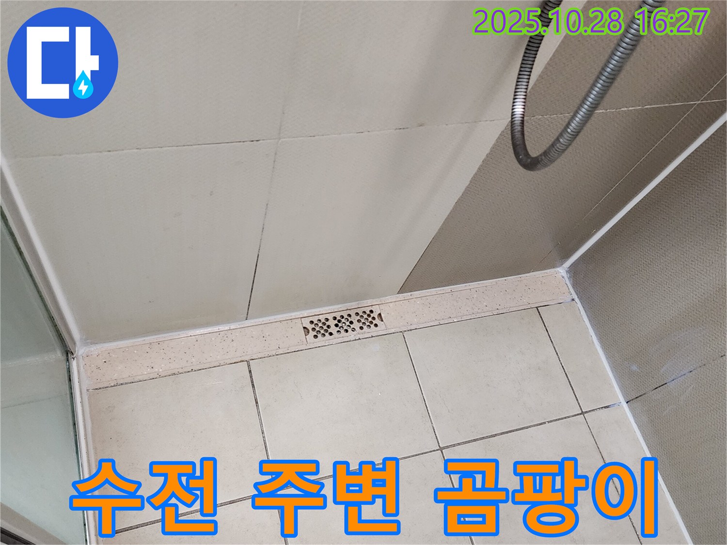 양주시 유양동 샤워기 수전 주변 벽면 곰팡이 - 내부 누수 가능성을 의심해 보세요!