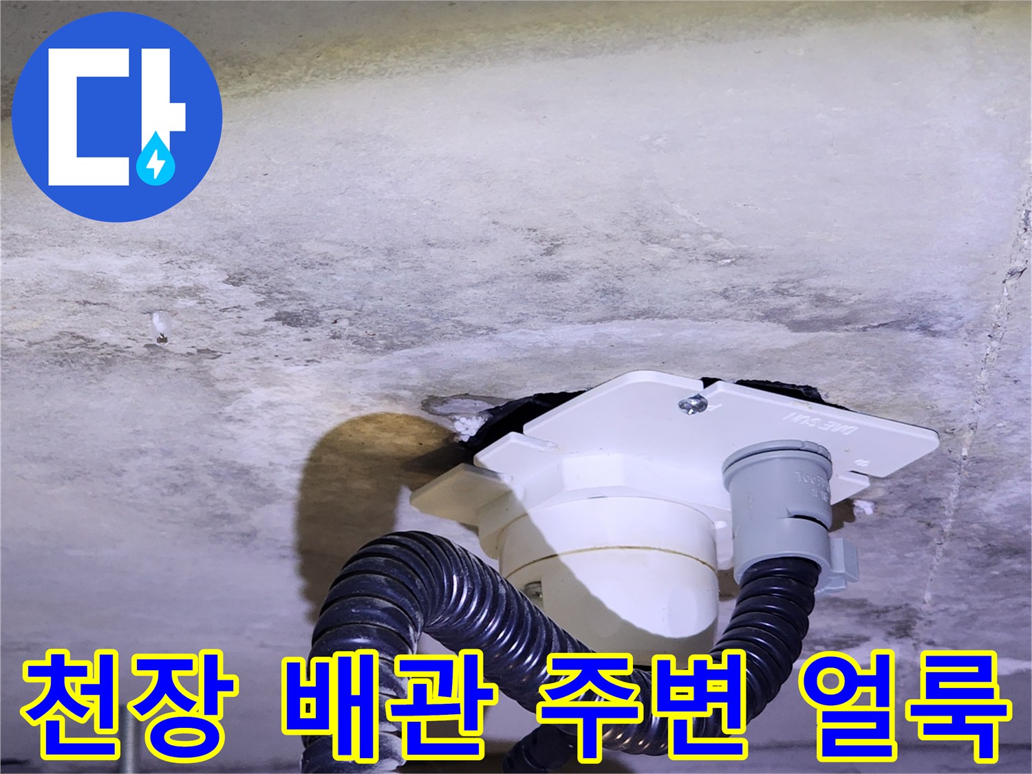 양주시 유양동 현장-콘크리트 슬래브에 발생한 습기 및 물얼룩 상태