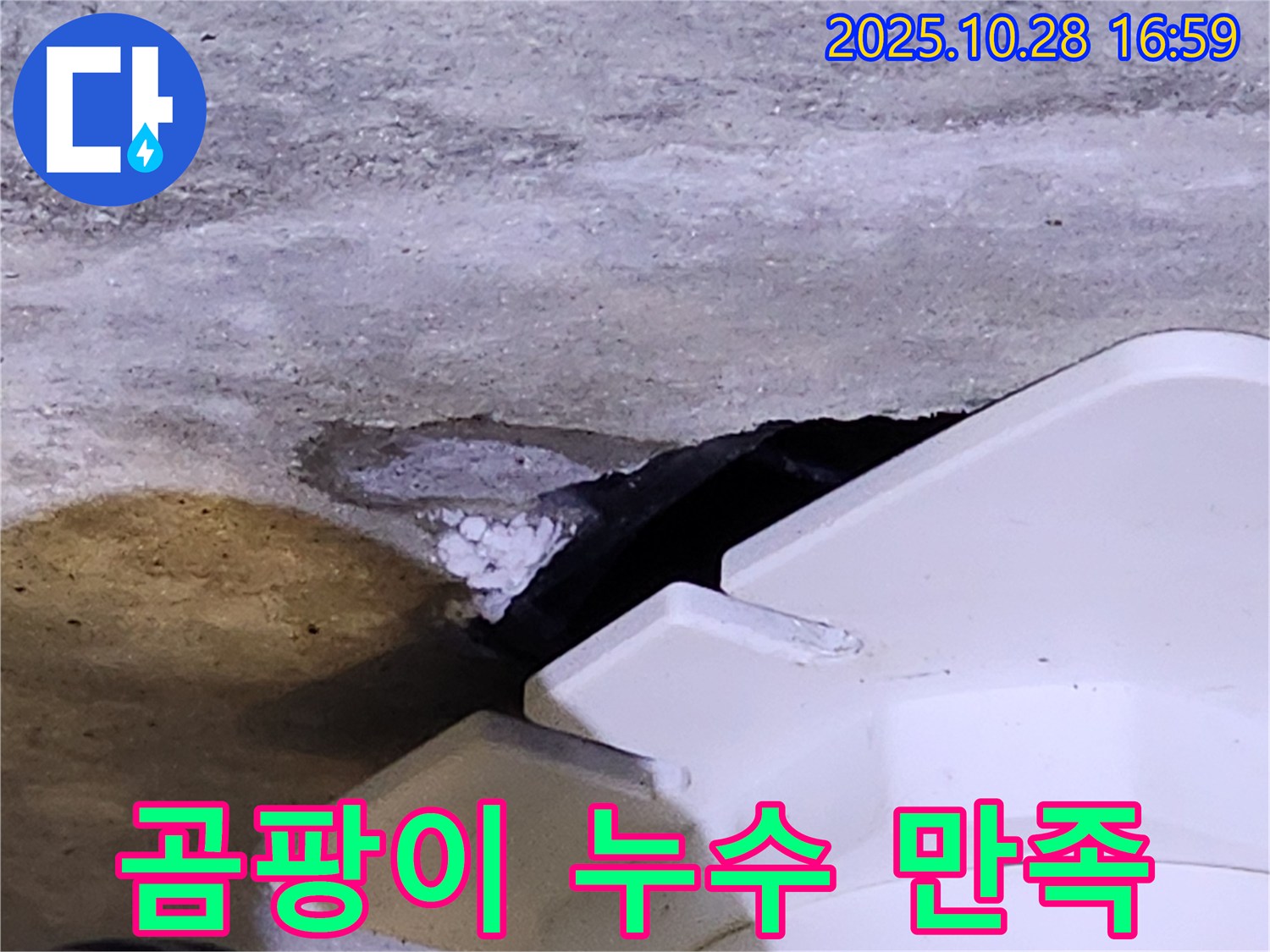 유양동 누수 - 하얀 곰팡이와 함께 발생하는 누수, 고객 만족을 최우선으로 생각합니다.