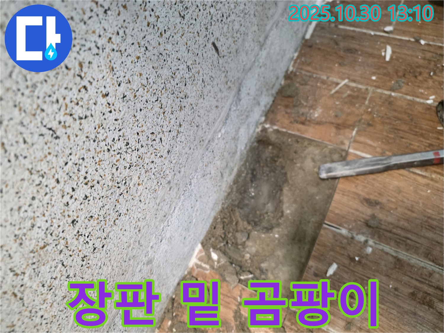 동두천 누수탐지 현장 - 장판 밑 곰팡이, 누수 해결이 우선입니다