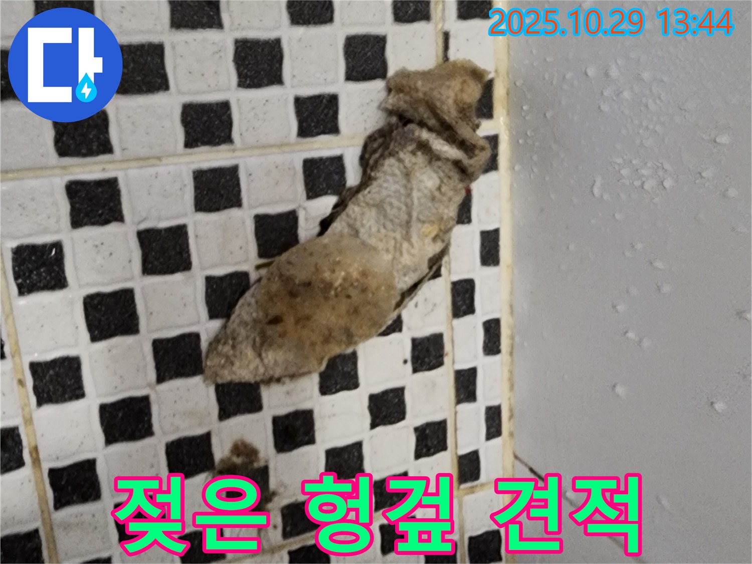 양주시 산북동 누수 현장 - 젖은 헝겊과 합리적인 견적으로 누수 해결