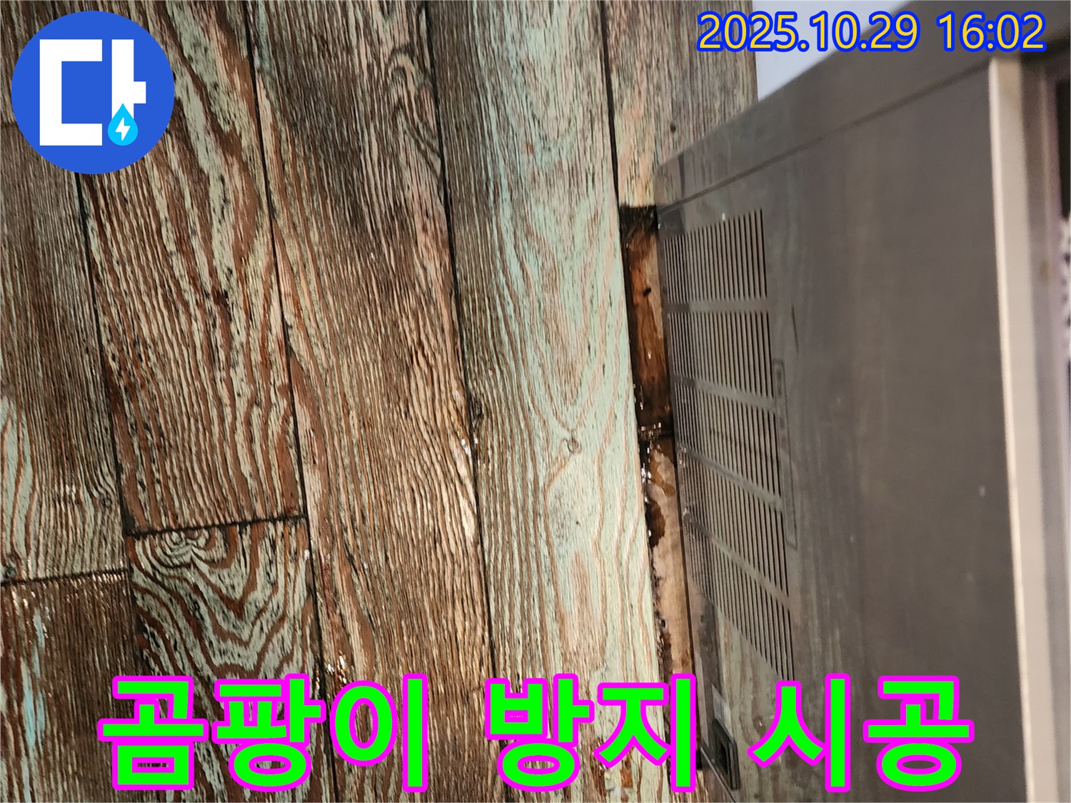 싱크대 하부 곰팡이 방지 - 마전동 누수 전문 업체가 곰팡이 방지 시공과 함께 누수 원인을 해결하여 쾌적한 환경을 만들어 드렸습니다.