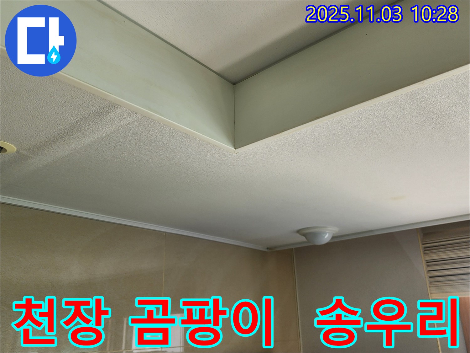 송우리에서 발생한 천장 곰팡이 문제 - 누수탐지 전문가가 누수 원인을 제거하고 곰팡이까지 깨끗하게 없애드립니다.