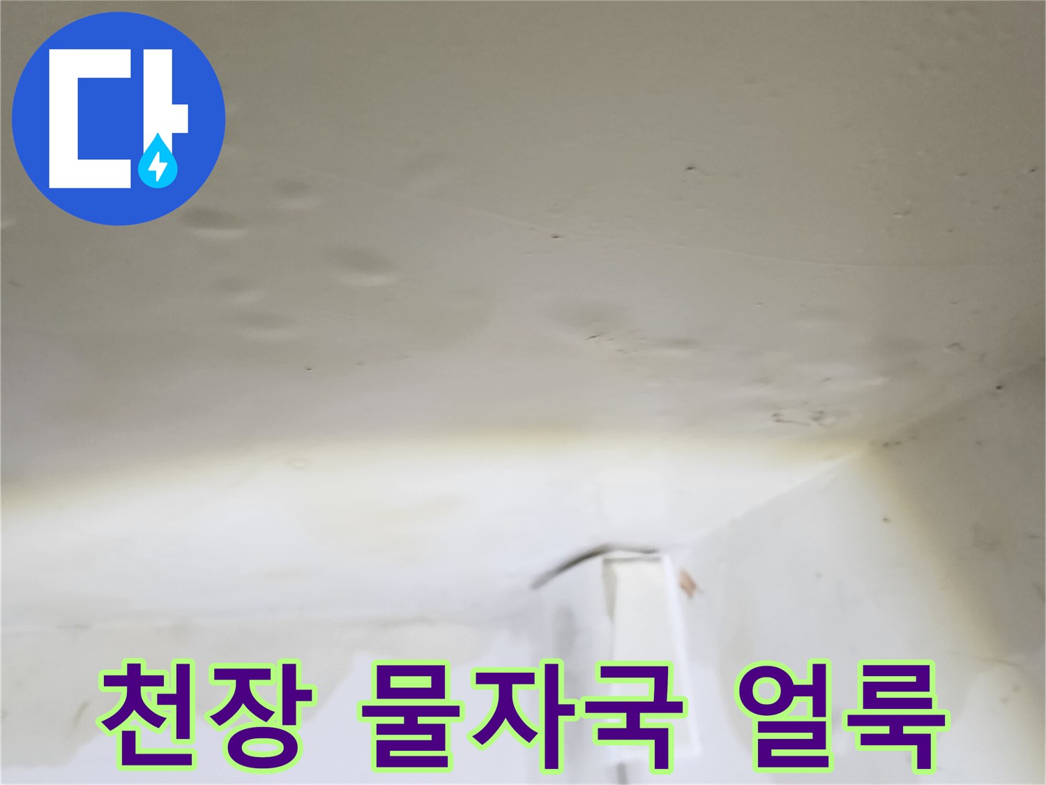 양주 옥정동 아파트 천장 벽지 물자국 현상