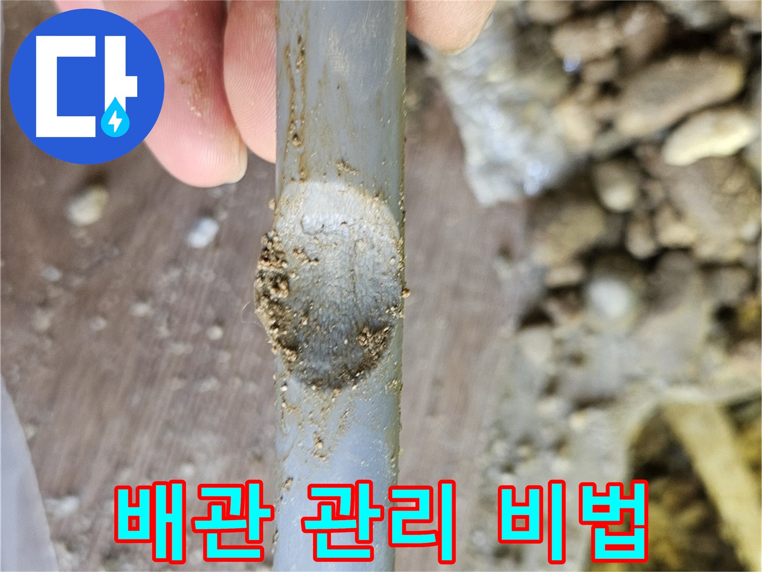 누수 완벽 해결 - 나무 뿌리 관리 비법 공개