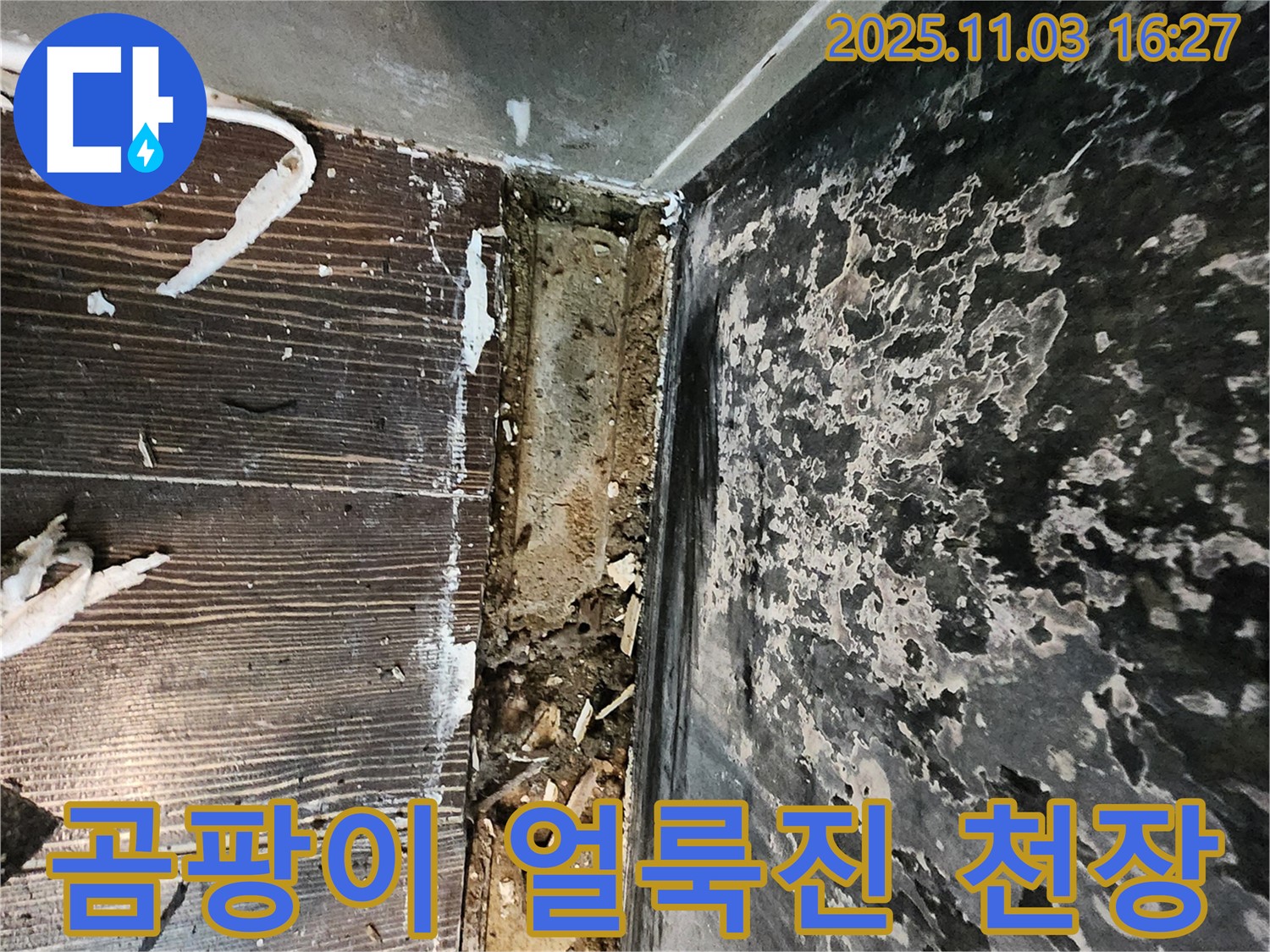 양주시 삼숭동 누수 - 곰팡이로 얼룩진 천장. 누수 해결과 함께 곰팡이 제거가 시급합니다.
