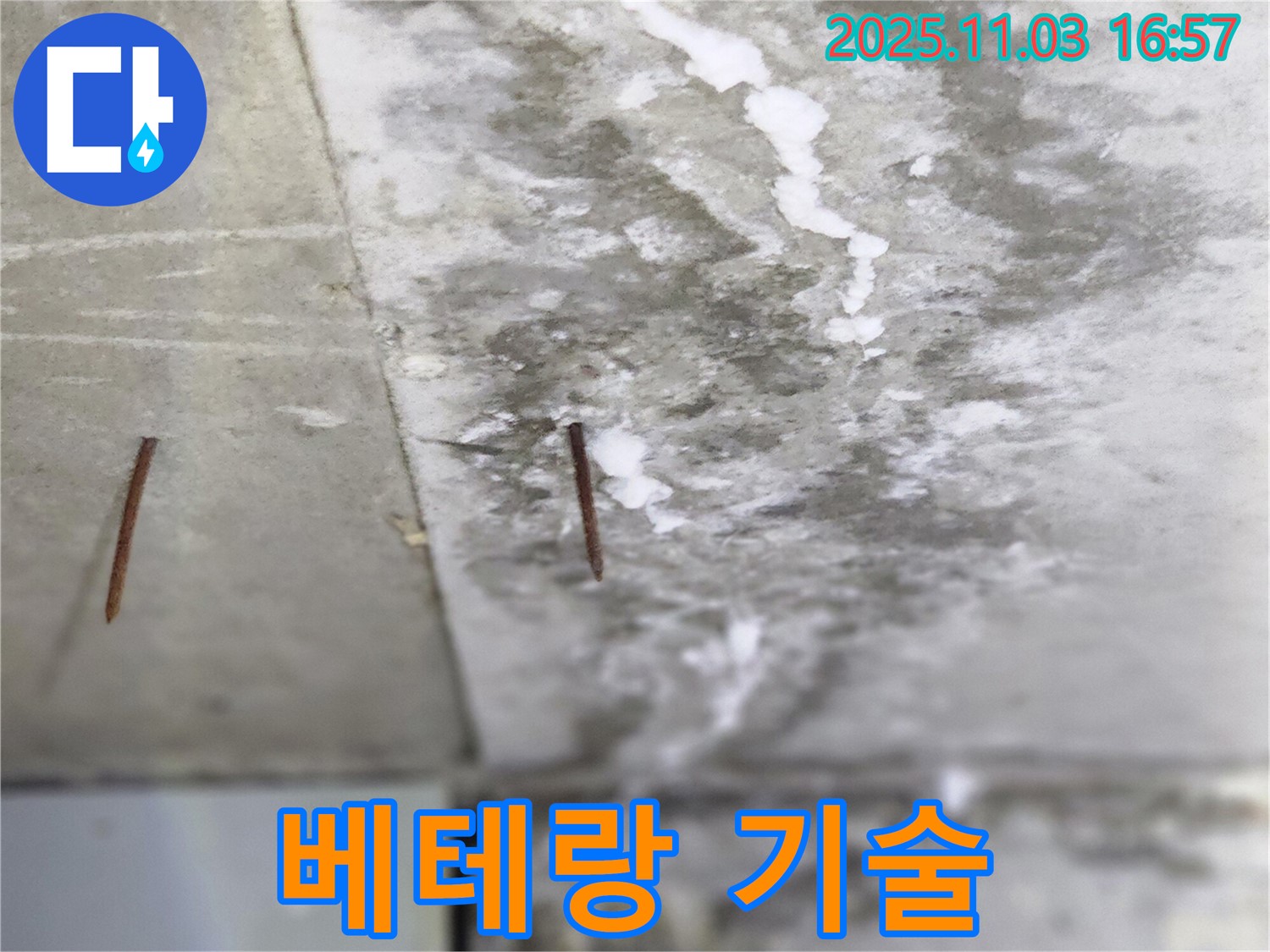 양주시 삼숭동 누수 현장 - 오랜 경험을 가진 베테랑 기술자가 꼼꼼하게 솟은 못 누수를 해결합니다.