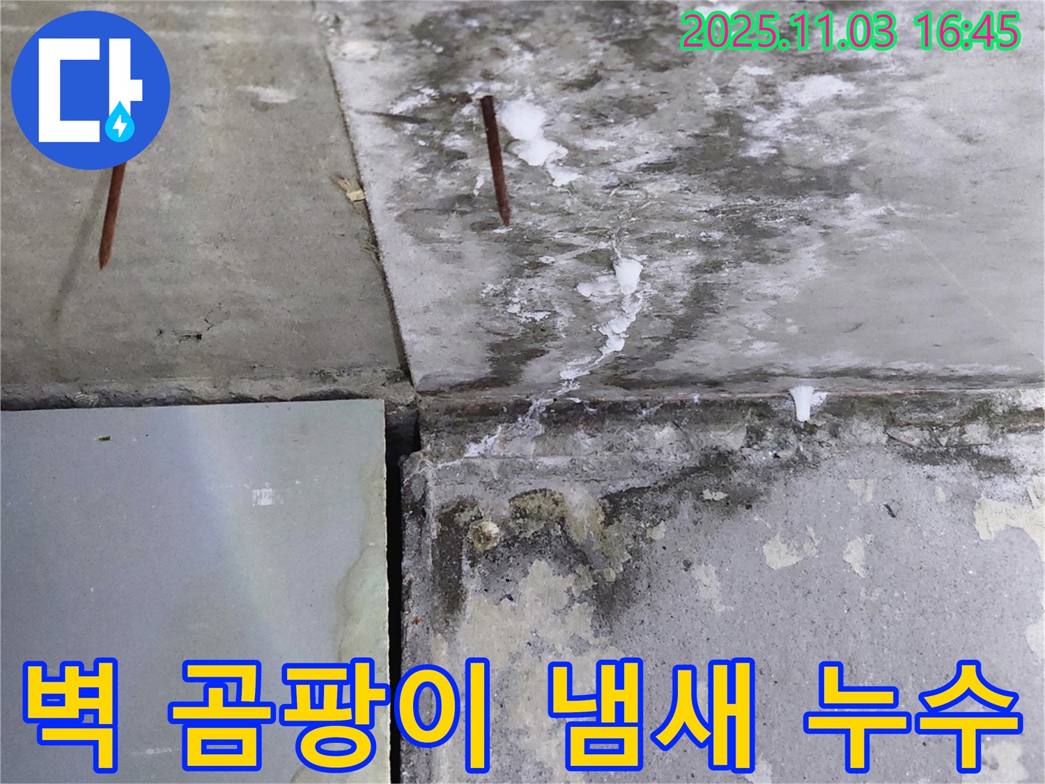 콘크리트 벽 곰팡이 냄새 - 누수-곰팡이 동거 의심