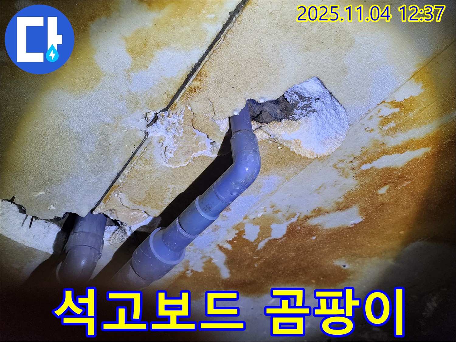 포천 소흘읍 천장 누수 - 석고보드 손상과 곰팡이 발생
