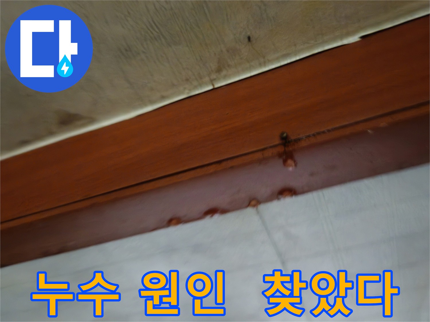 용산구 청파동 다세대 주택 - 누수 원인 발견