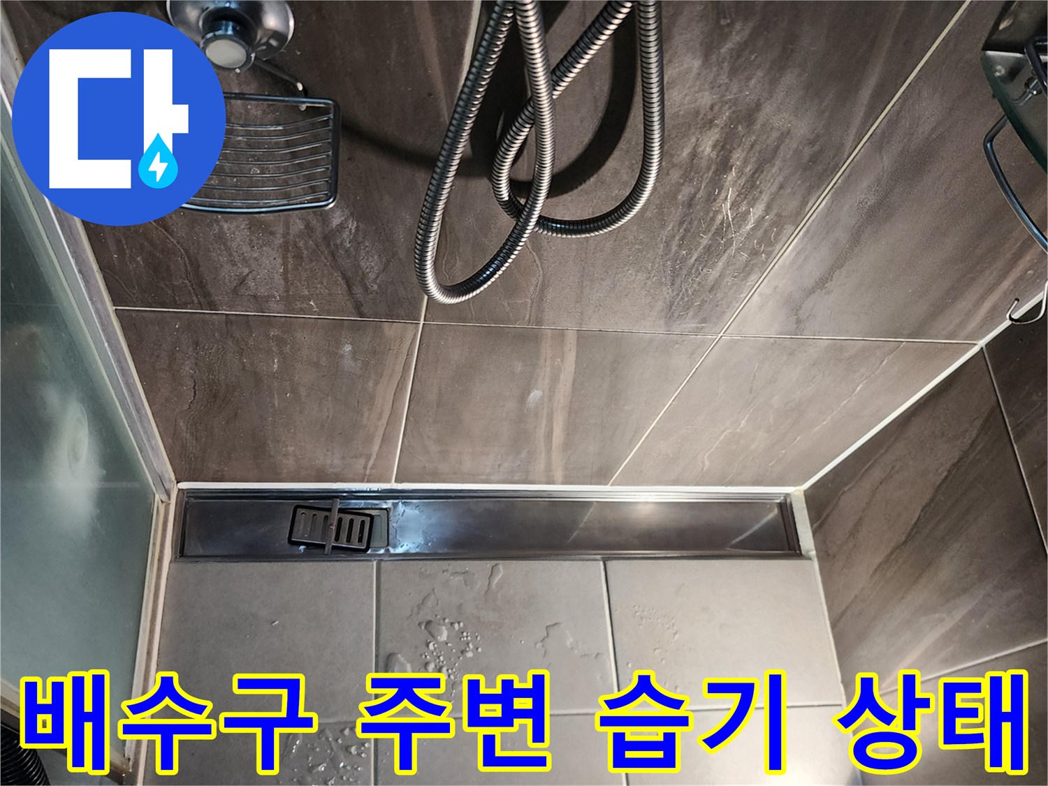 신곡동-샤유실-배수구-주변-타일-습기-상태