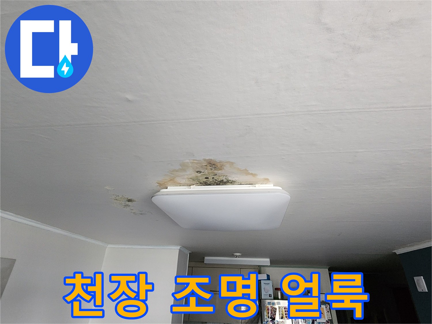 조명기구 주변의 젖은 듯한 천장 얼룩과 곰팡이 흔적