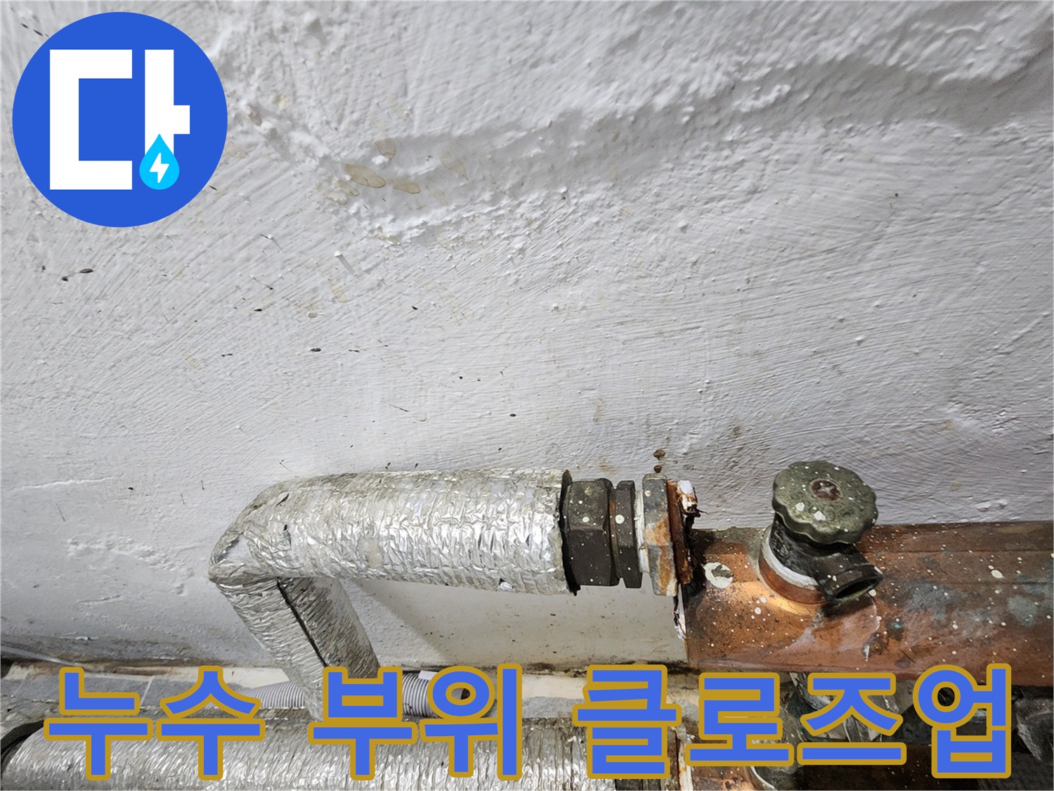 양천구 신월동 주름관 연결 부위 누수 - 신속 출동 누수 해결
