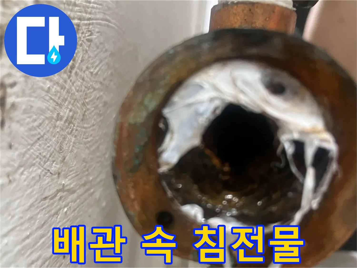 양천구 누수 해결 - 배관 속 하얀 침전물 완벽 제거