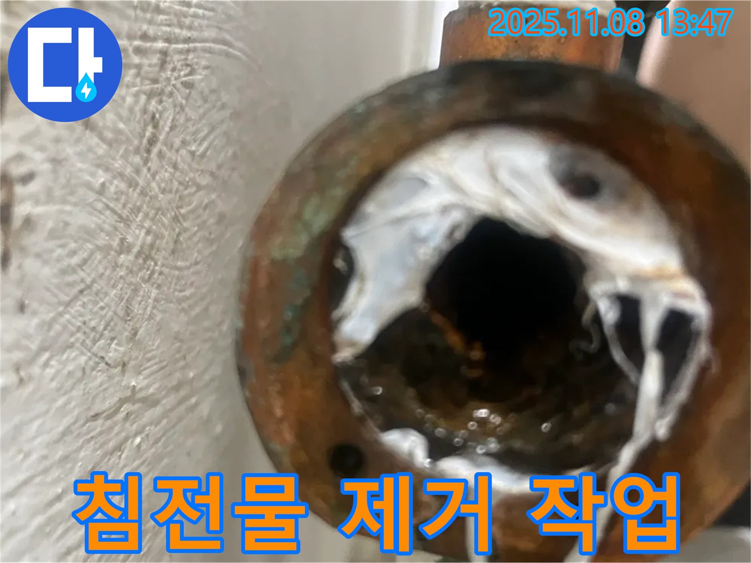 양천구 신월동 누수 현장 - 배관 속 하얀 침전물을 제거하는 작업 과정을 상세히 보여드립니다.