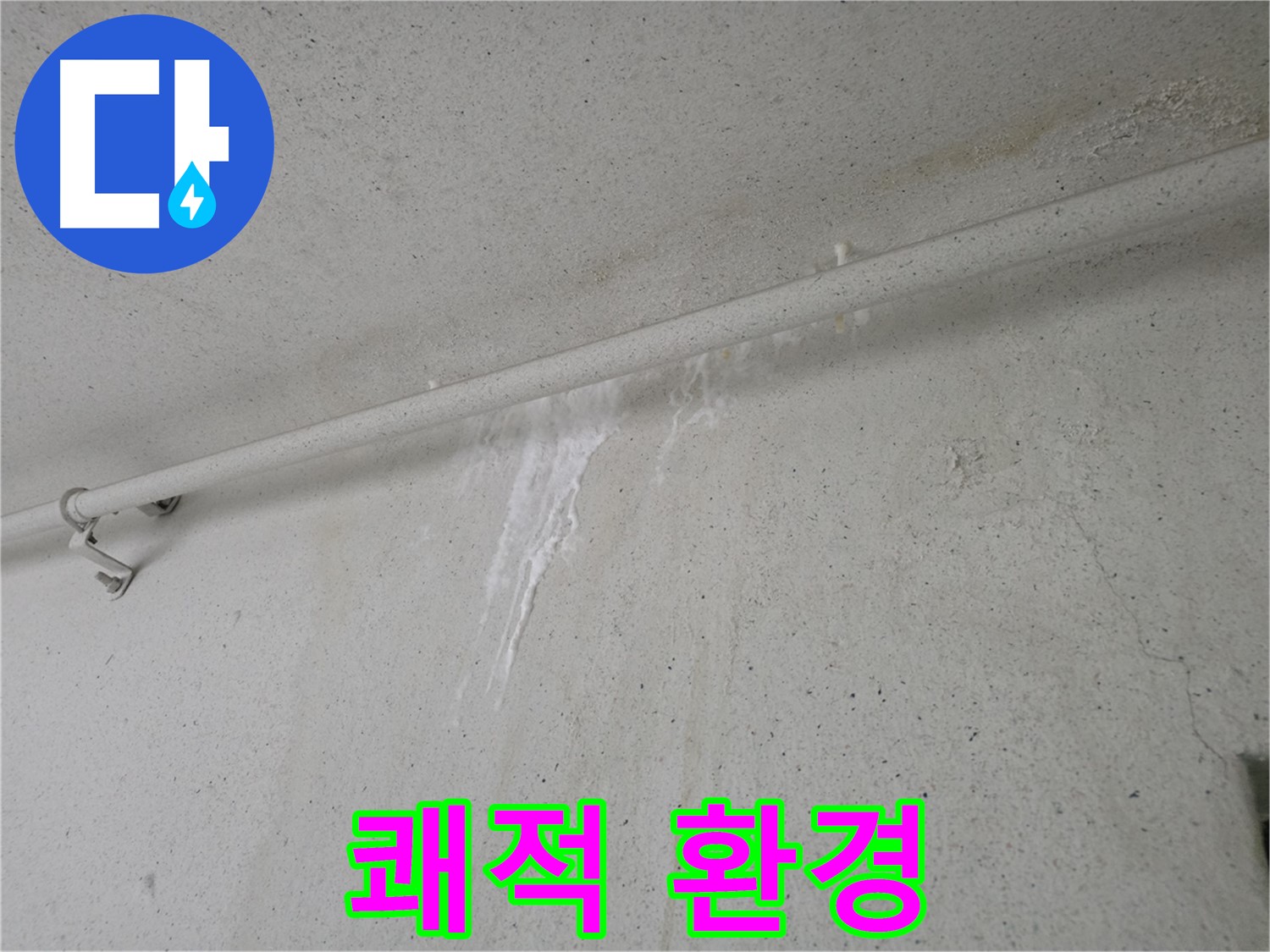 안양 누수 - 쾌적한 생활 환경을 위한 곰팡이 제거 및 습기 제거 서비스