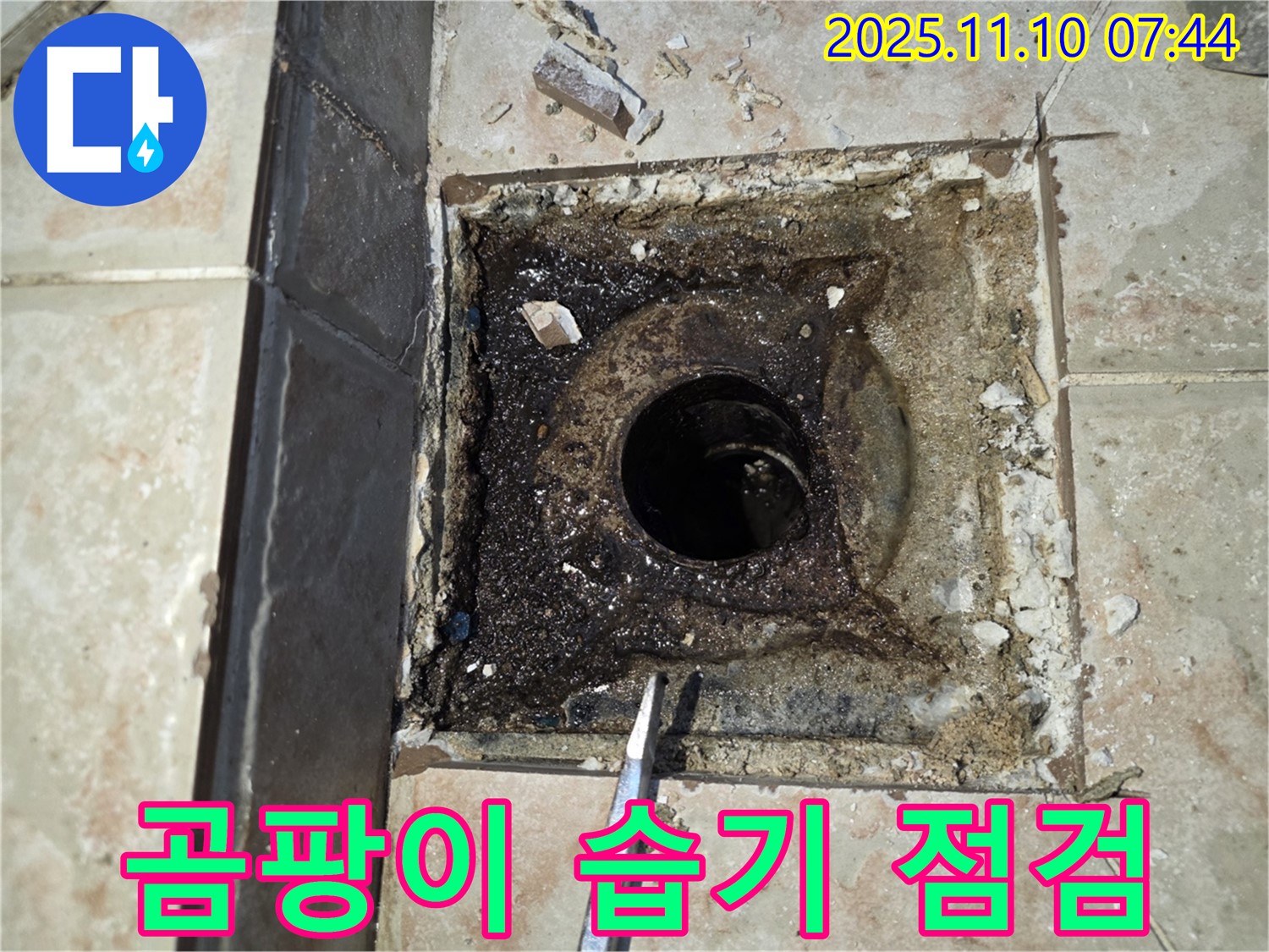 안양 만안구 초원맨션 누수 - 욕실 하수구 주변 곰팡이 발생 및 습기 상태 꼼꼼하게 점검