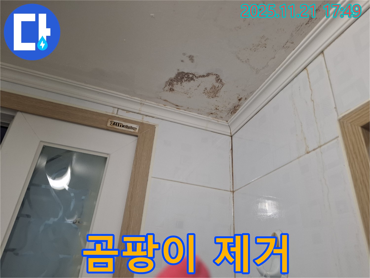 곰팡이 제거 - 누수 해결과 함께 곰팡이 문제도 해결하세요.